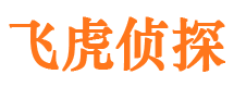 东平市场调查